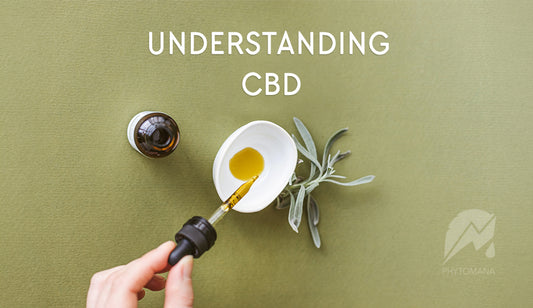 Understanding CBD