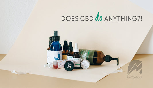 Should You Take CBD? Exploring the Benefits and Considerations